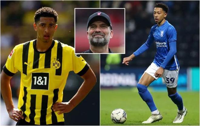 潜在目标 潜在目标