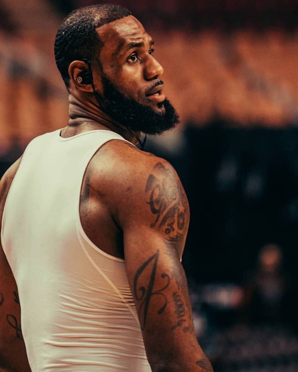 其他内容采 其他内容采