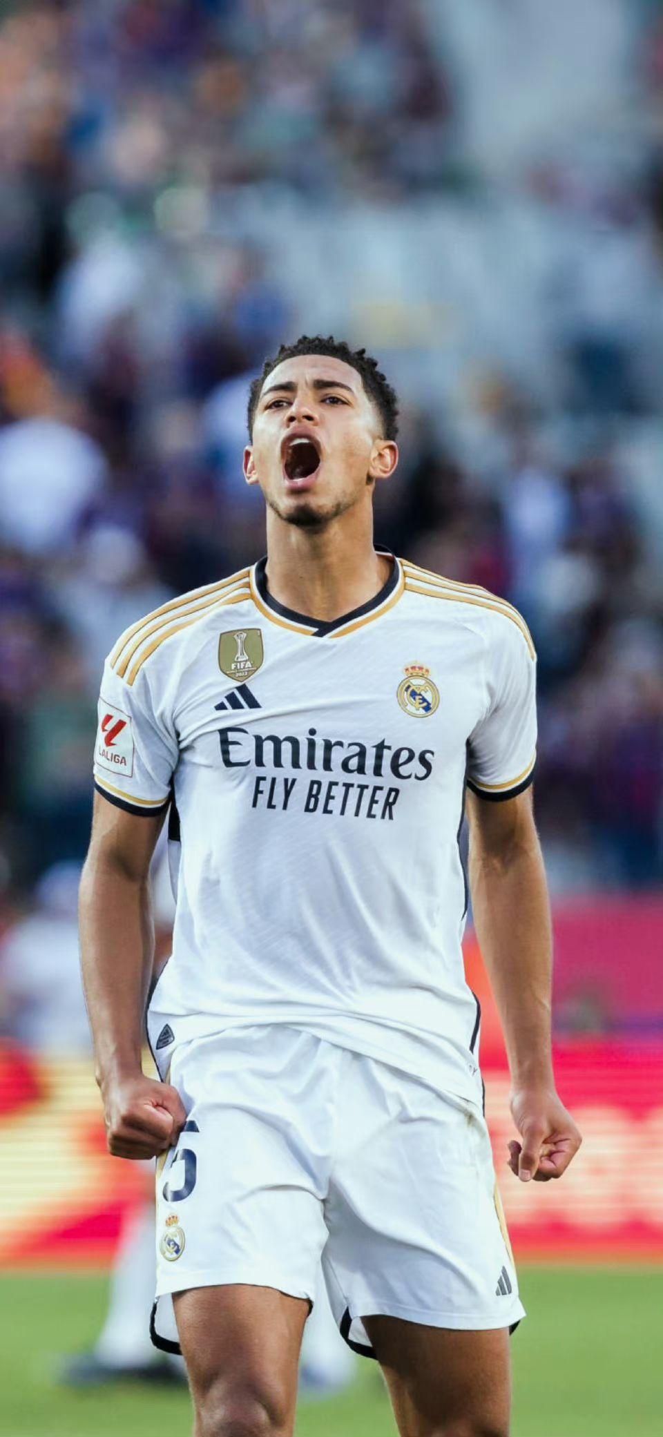 数为证据的 数为证据的